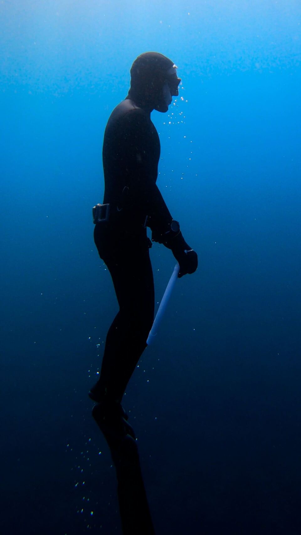 Foto H2O Diving Bolzano 51