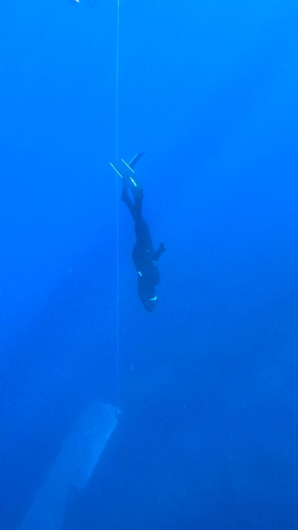 Foto H2O Diving Bolzano 62