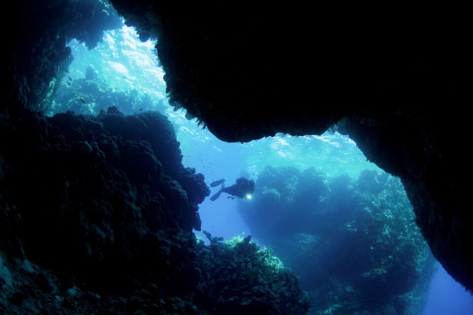 Foto H2O Diving Bolzano 32