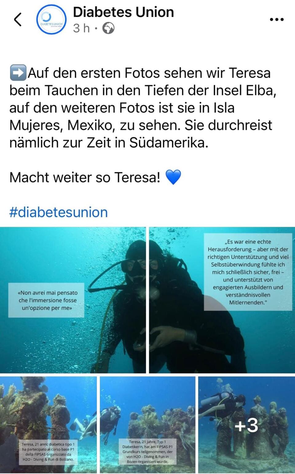 Presse – Artikel 5