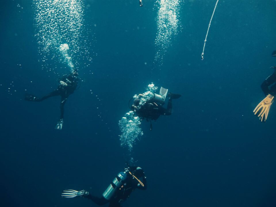 Foto H2O Diving Bolzano 34