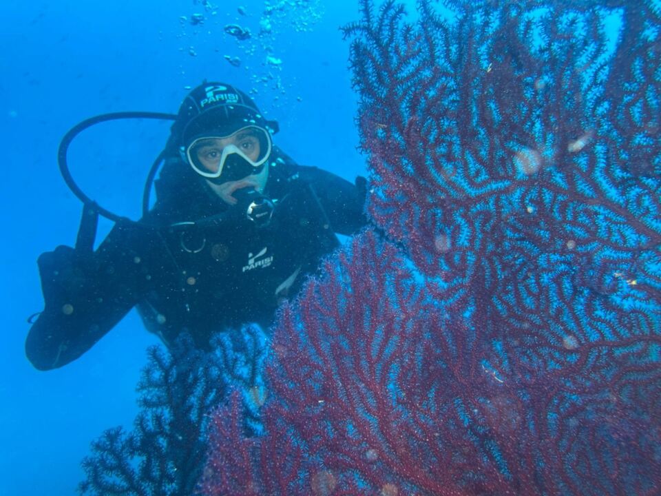 Foto H2O Diving Bolzano 79