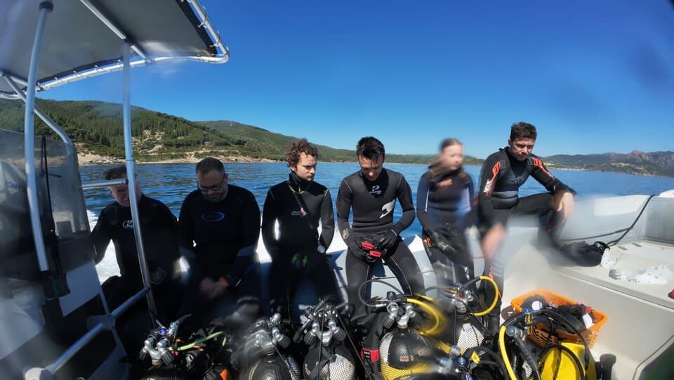 Fische im blauen Wasser
