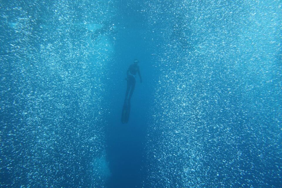 Foto H2O Diving Bolzano 18